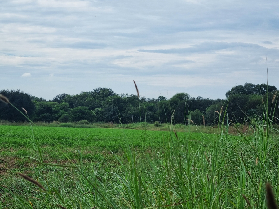 Commercial Property for Sale in Groot Marico North West